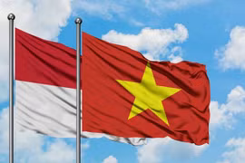 促进越南与印尼的友谊