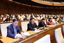 越南第十四届国会第十一次会议：选举国会副主席和国会常务委员会部分委员