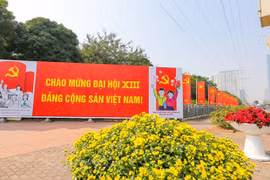 越共十三大：澳大利亚专家高度评价越共十三大对越南未来的意义
