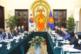 越南尽全力履行东盟-韩国关系协调员的责任