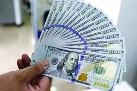 12月30日上午越盾对美元汇率中间价上调9越盾