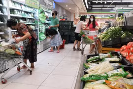 新冠肺炎疫情：河内市主动拟定粮食食品供应方案