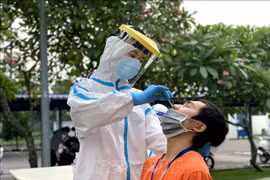  6月13日早上越南新增95例本土确诊病例