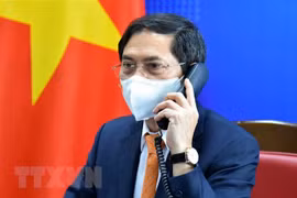 越南外交部部长裴青山与德国外交部部长马斯通电话