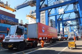 法国教授：阮富仲总书记的文章体现了意识形态与实践价值之间的平衡