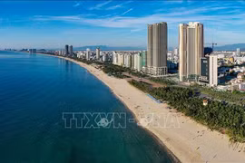 7月15日12时起岘港市暂停海边游泳、体育活动