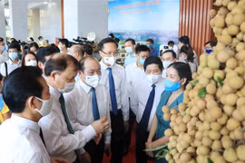 中国驻越南大使馆经济商务参赞：愿充当桥梁和纽带 助推兴安省龙眼及其他农产品销售 