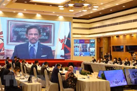 AIPA-42: 加强国际合作 携手应对新冠肺炎疫情
