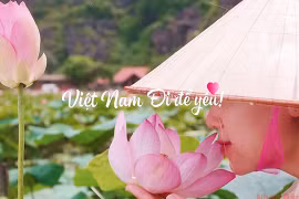 “越南：为爱而去！—回到宁平”短视频正式上线