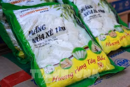 越南和平省向荷兰出口28吨鲜竹笋