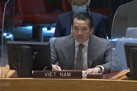 越南与联合国安理会：越南坚支持和解并结束刚果民主共和国的暴力