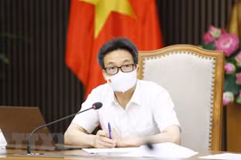 武德儋副总理：富安和庆和省要严格实施社交距离措施以控制疫情
