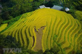 在线旅游体验——河江旅游的新方向