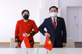 越南国会主席王廷惠会见印尼国会议长