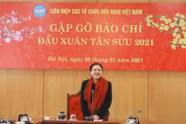 2020年--越南民间外交获得成功的一年
