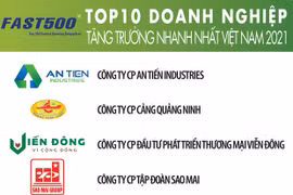 2021年越南增长最快企业500强榜单出炉