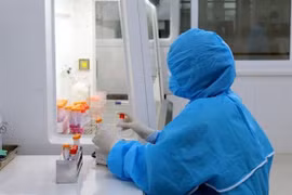 新冠肺炎疫情：停止对部分出入广宁省芒街口岸的人员和车辆进行快速检测