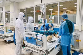 越南一流医生对三例新冠肺炎危重症患者进行远程会诊