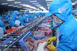 今年前5月朔庄省出口额增高 