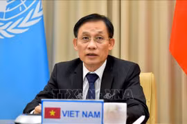 越共十三大：形成全方位且现代的外交布局