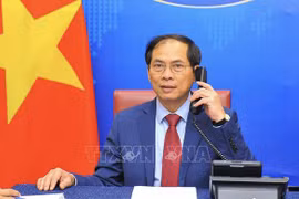 越南外交部部长裴青山与新加坡和印度外长通电话