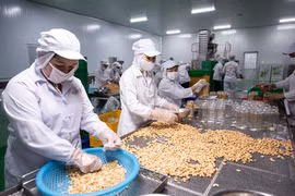 越南与波兰在农产品与食品贸易领域中的合作潜力巨大