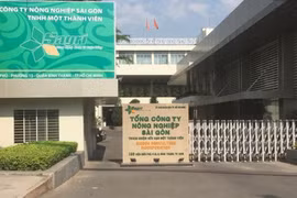 胡志明市四起违反国有资产管理使用规定导致损失浪费案：29名违纪违法党员被开除党籍