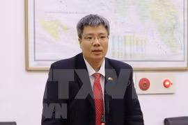 在韩的越南商人关注越共十三大