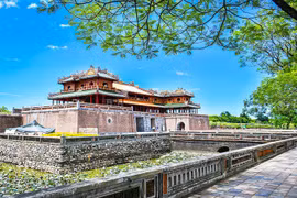 越南企业抓住新冠肺炎大流行的机遇