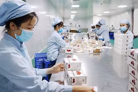 河内“绿区”努力恢复生产和经营活动