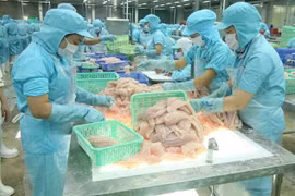 越南与俄罗斯农水产贸易促进论坛即将以线上方式举行