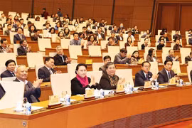 越南国会主席阮氏金银要求不断革新国会活动