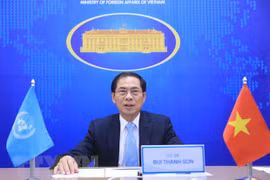 越南与联合国安理会：促进多边合作以便解决公共事务