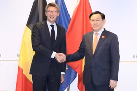 越南国会主席王廷惠会见比利时副首相
