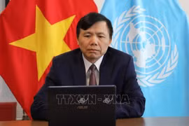 越南常驻驻联合国代表邓廷贵：越南将尽力完成自己的使命