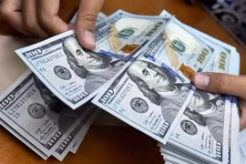 10月21日上午越盾对美元汇率中间价上调22越盾