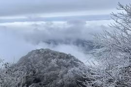 北部山区多地雪白“仙境”吸引大量游客前来参观 