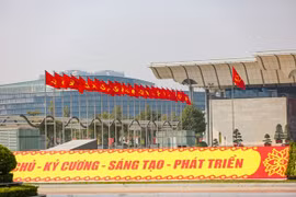 古巴驻越临时代办：古巴高度评价越南共产党的领导作用