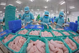 越南多家查鱼和巴沙鱼出口企业无需缴纳美国反倾销税