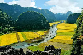 三谷-碧洞之金色
