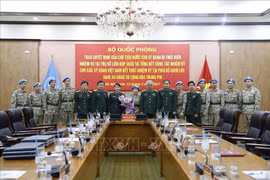 阮志咏上将：使越南旗帜插遍世界维和地图