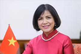 越南出席世贸组织对缅甸第二次贸易政策审议