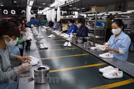 今年第一季度越南鞋类产品出口额增长13.5%