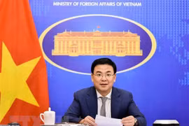 新形势下进一步促进越南与非洲的友好往来和多方面合作