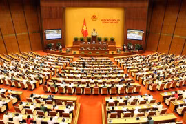第十五届国会第一次会议：讨论两项重要的国家目标计划