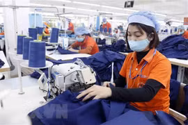 促进越南与俄罗斯贸易投资合作