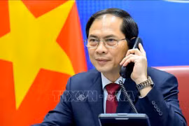 越南外交部部长裴青山与中国国务委员兼外交部部长王毅通电话