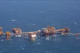 PVN上缴国家财政提前完成2021年全年计划