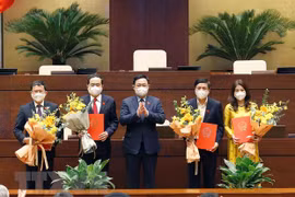 越南友好议员组织、国会女代表小组和国会青年代表小组正式成立