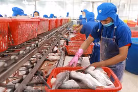 越南与欧盟加强农林水产品的贸易合作